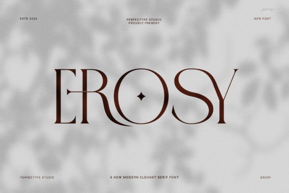 Erosy Font: Modern Sans Serif for Digital Marketing